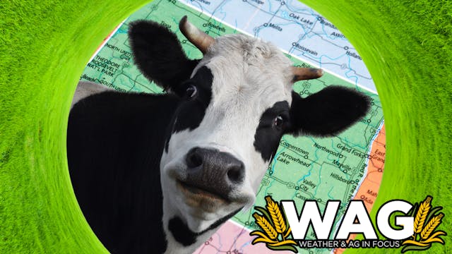 Dairy Expansion in ND | WAG in Focus ...