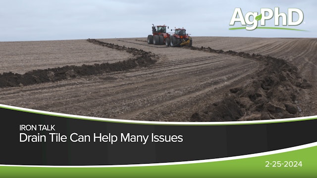 Drain TiIe Can Help Many Issues | Ag PhD