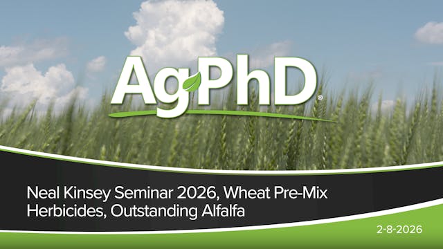 Neal Kinsey Seminar 2026, Wheat Pre-M...