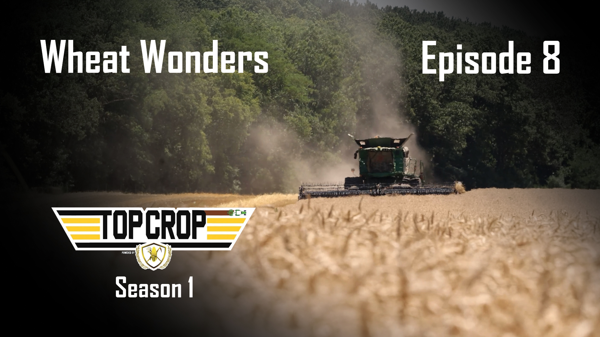 Wheat Wonders | Top Crop