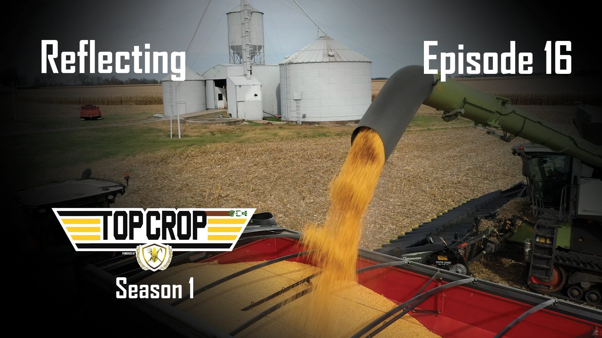 Reflecting | Top Crop