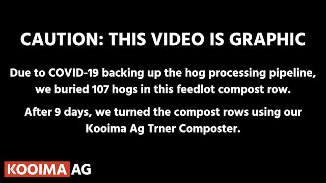 Composting 107 Hogs | Kooima Ag
