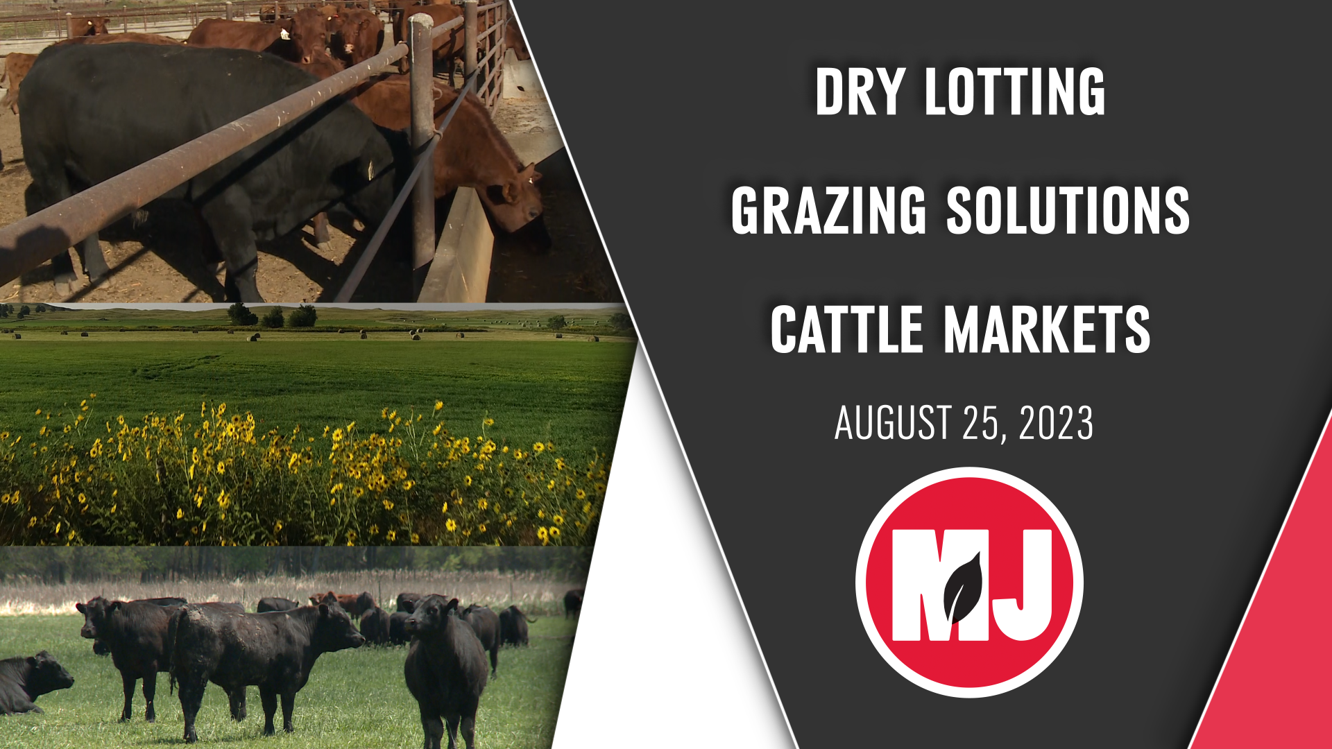  August 25, 2023 | Market Journal