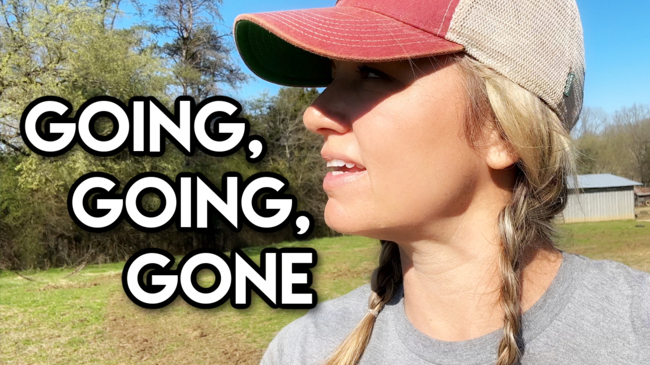 Going Going Gone! || This Farm Wife