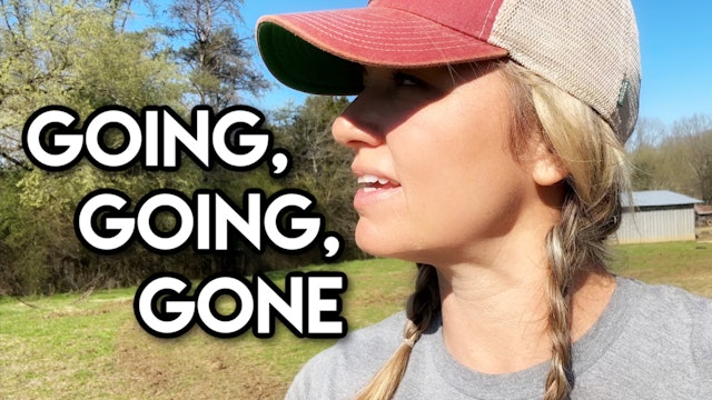 Going Going Gone! || This Farm Wife