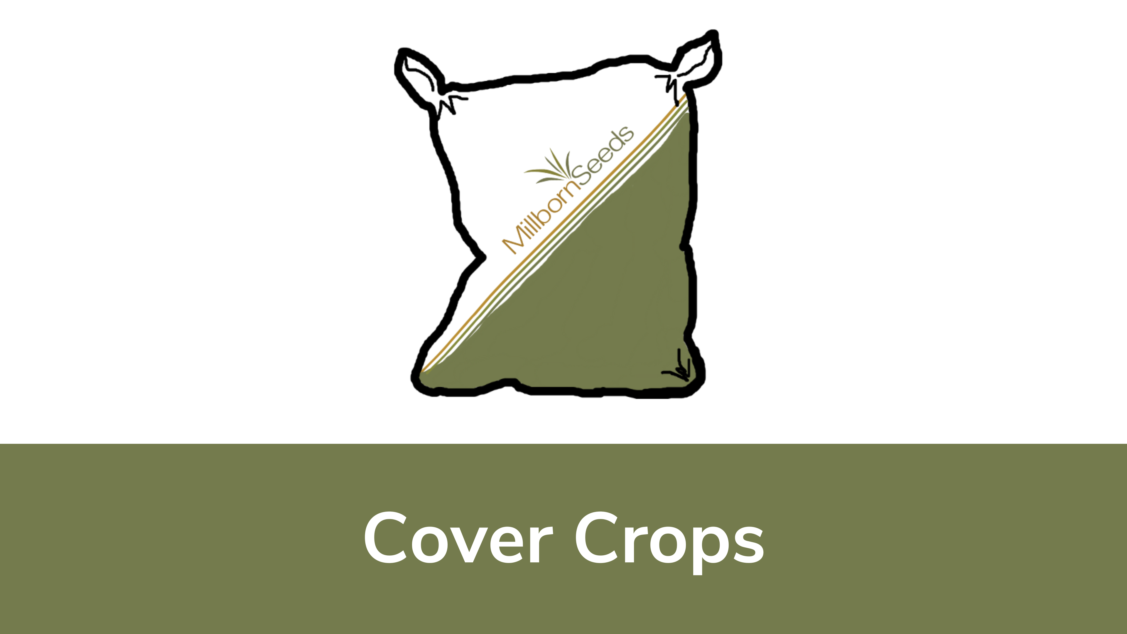 Cover Crops