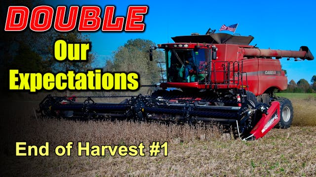 Bad...But Not as Bad as They Should B...