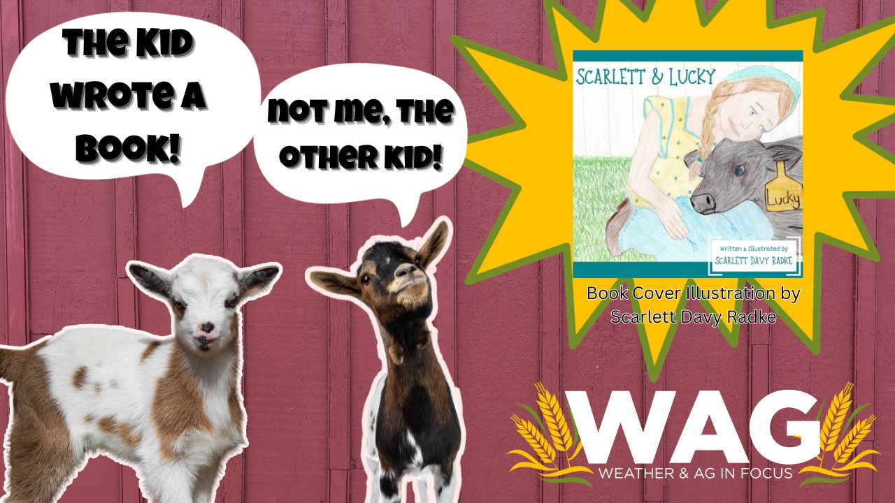 The Kid Wrote a Book! | WAG in Focus 1/5/24