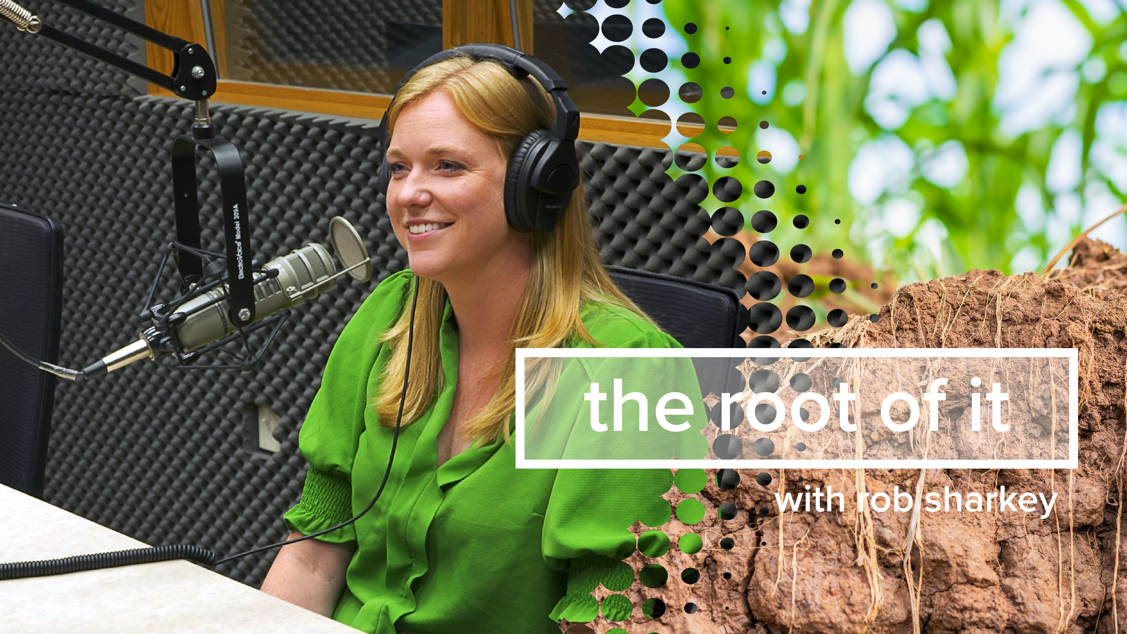 Liz Fiedler | The Root of It