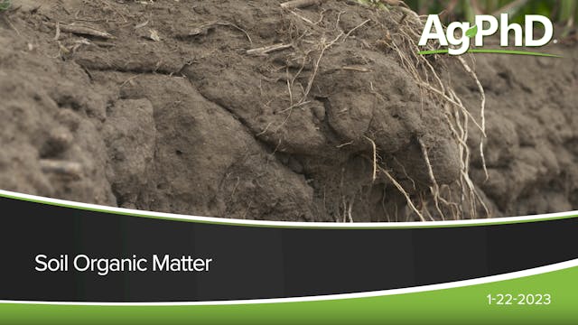 Soil Organic Matter | Ag PhD