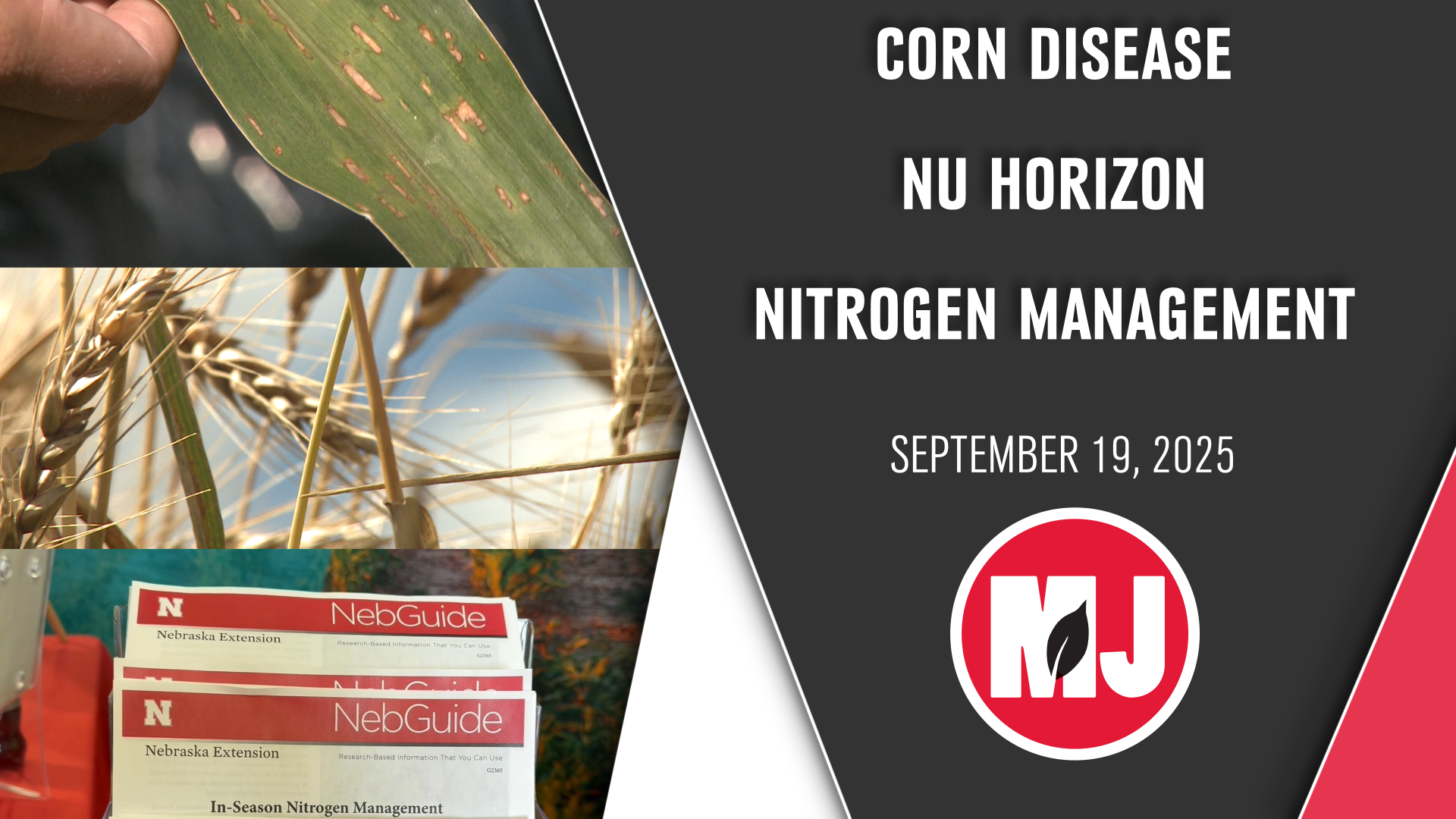 September 19, 2025 | Market Journal