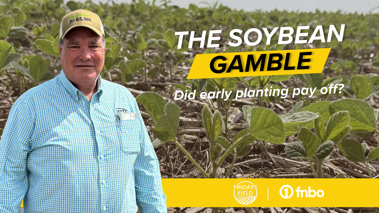March-Planted Soybeans: Smart Move or Costly Mistake? | Rural Radio