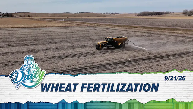 Wheat Fertilization | Ag PhD Daily | ...