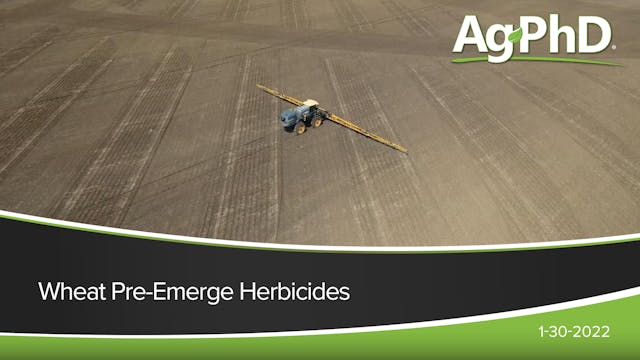 Wheat Pre-Emerge Herbicides | Ag PhD