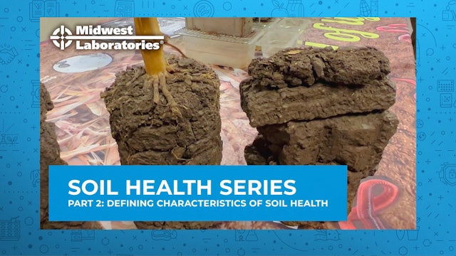 Soil Health Series - Defining Characteristics of Soil Health | Midwest Labs