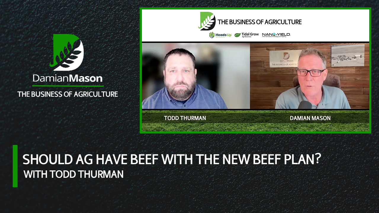 Should Ag Have Beef with The New Beef Plan? | Damian Mason