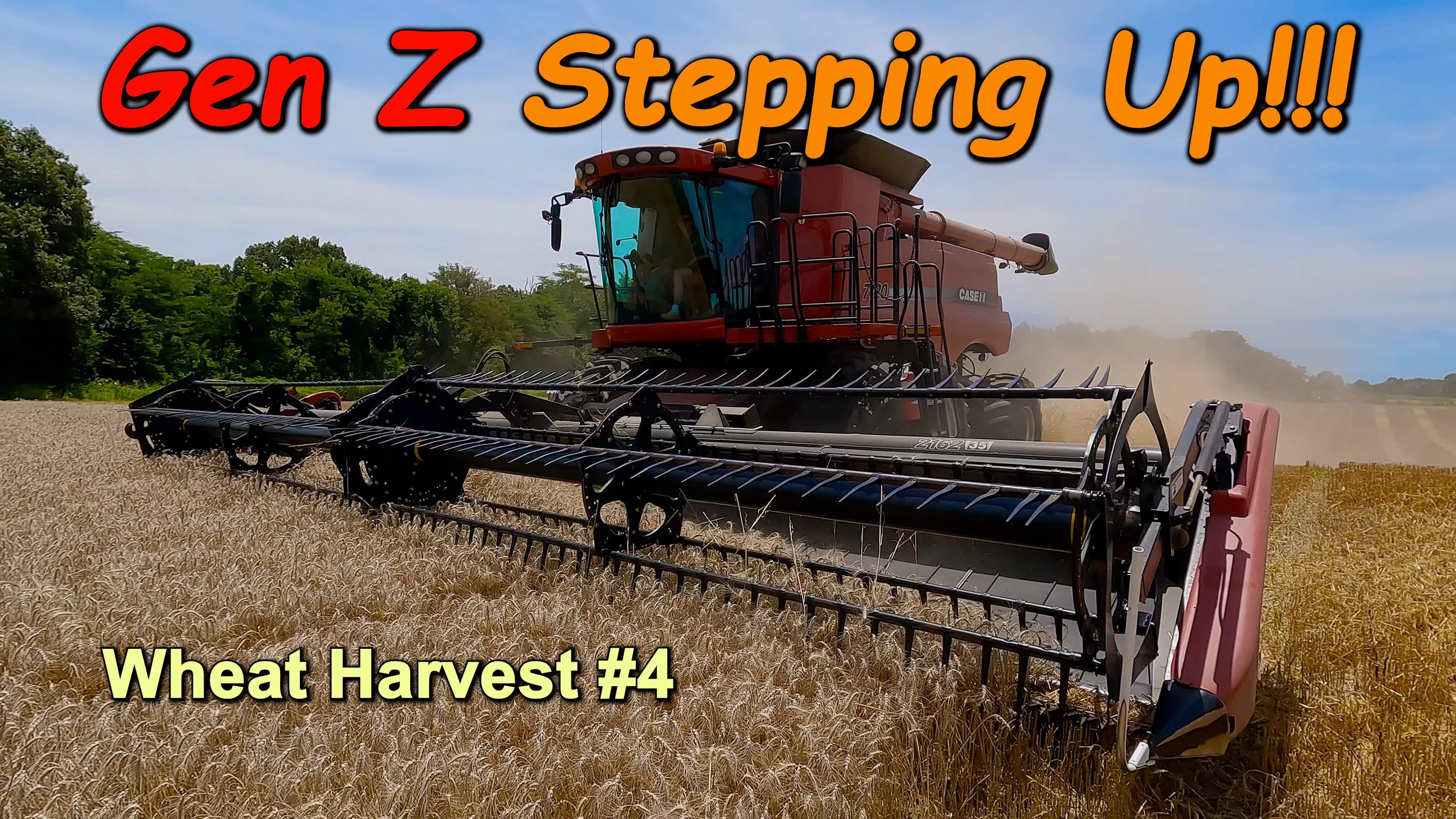 Time To Give The Younger Generation A Chance!  Wheat Harvest #4 | Griggs Farms