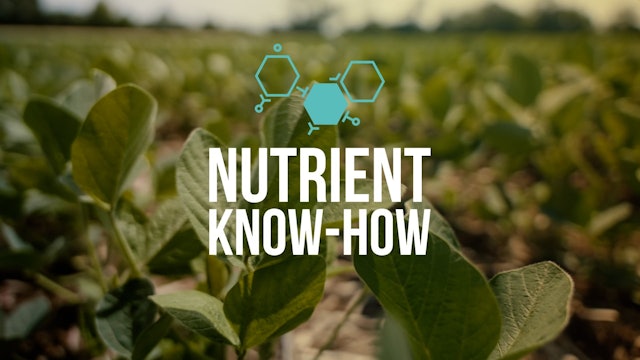 Nutrient Know-How: Magnesium Can Be a Bully! | XtremeAg