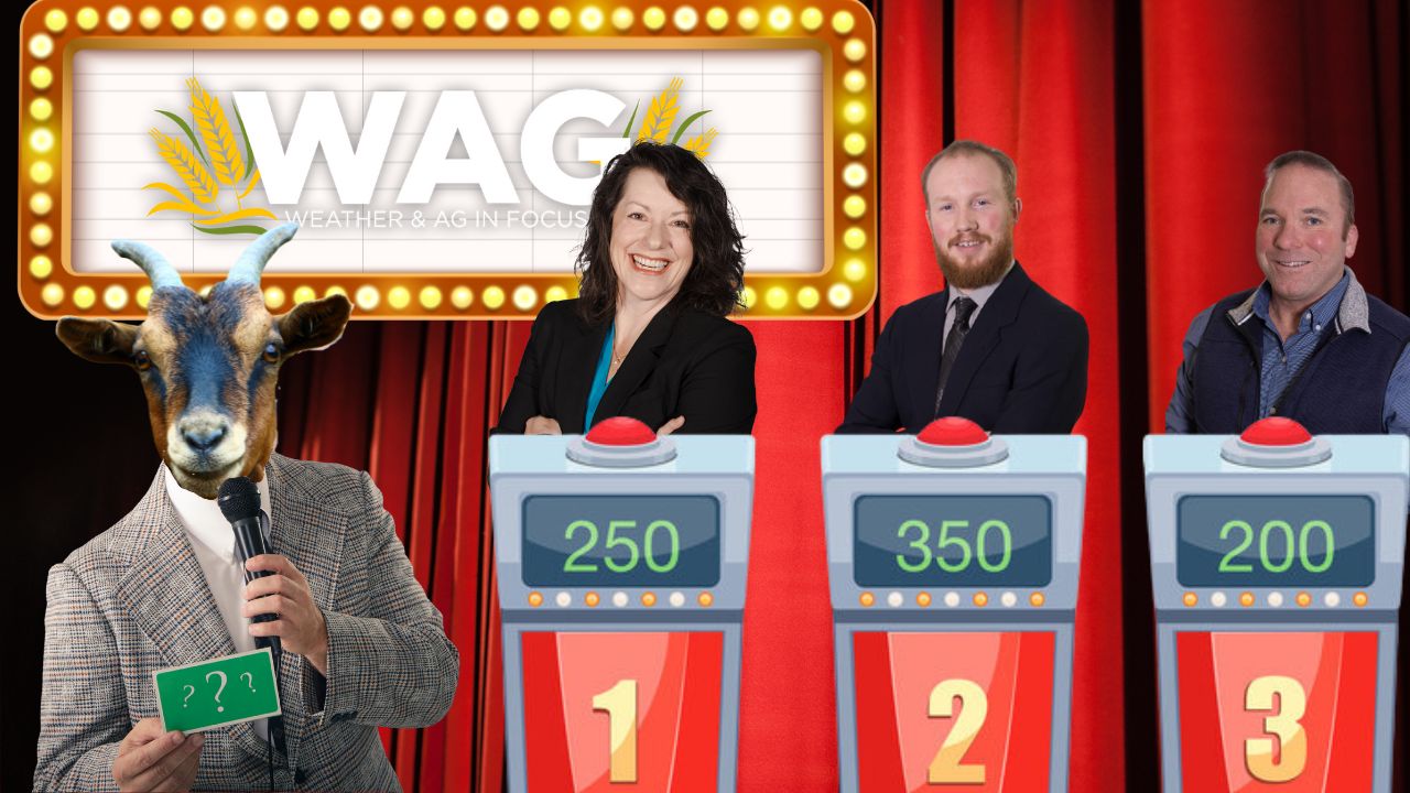 Porktober & Trivia: Free For All Friday Edition | WAG In Focus 10/6/23