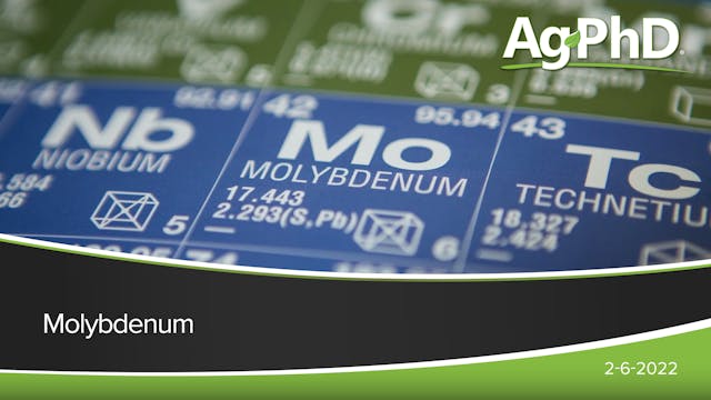 Molybdenum | Ag PhD