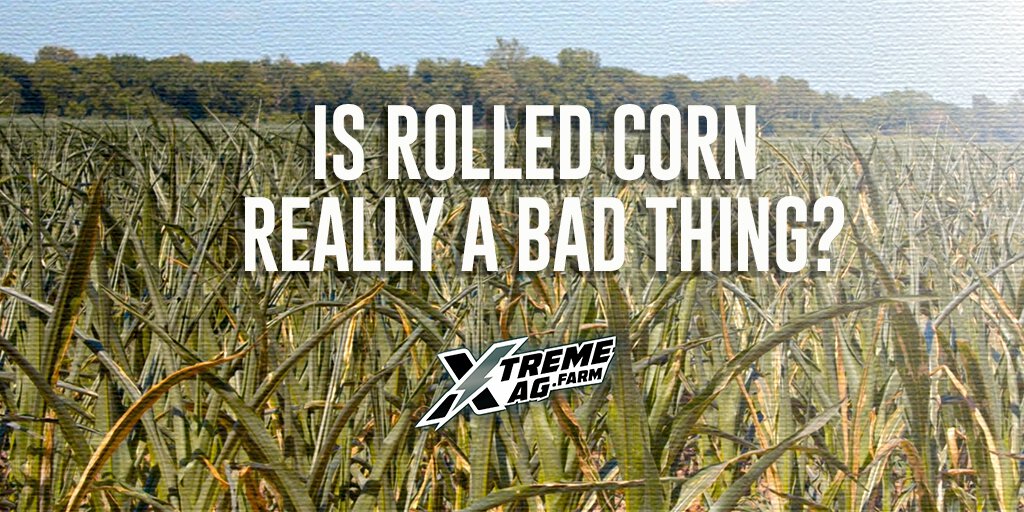 How Bad is Rolling Corn? | XtremeAg