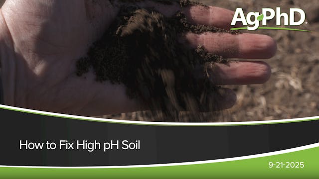 How to Fix High pH Soil | Ag PhD