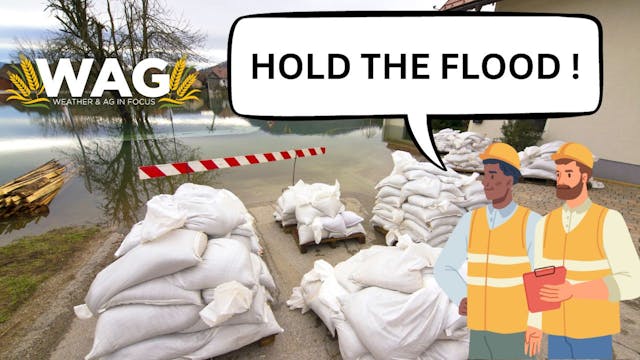 HOLD THE FLOOD | WAG In Focus 9/25/23