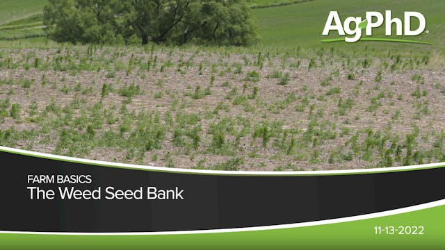 The Weed Seed Bank | Ag PhD