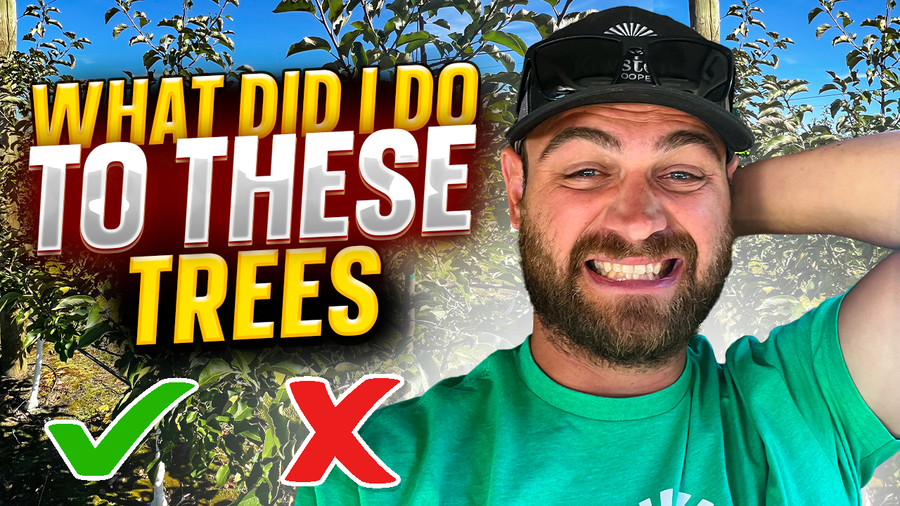 My BIGGEST Fruit Farming Mistake EXPOSED | Pomes and Stones