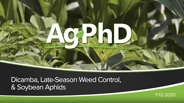 Dicamba, Late Season Weed Control, Soybean Aphids