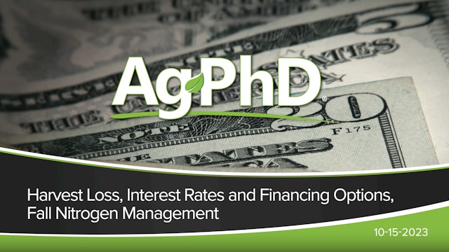 Harvest Loss, Interest Rates & Financing, Fall Nitrogen Management | Ag PhD