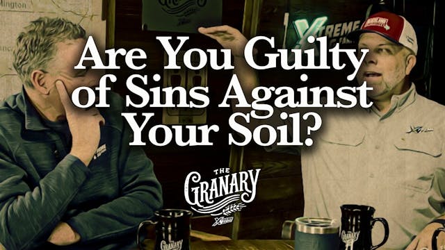 Are You Guilty of Sins Against Your S...