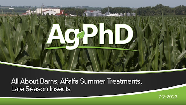 All About Barns, Alfalfa Summer Treatments, Late Season Insects | Ag PhD