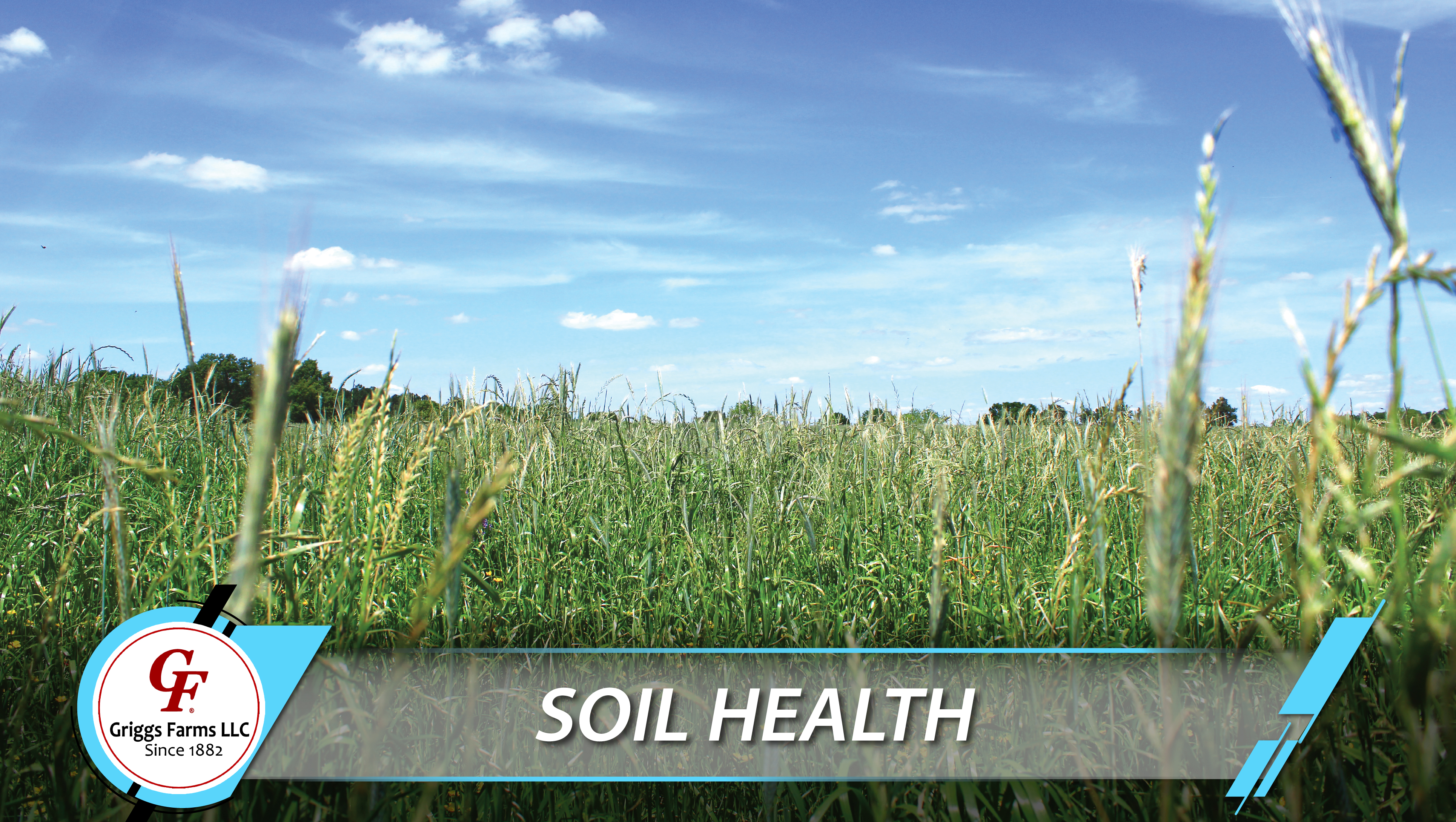 Soil Health