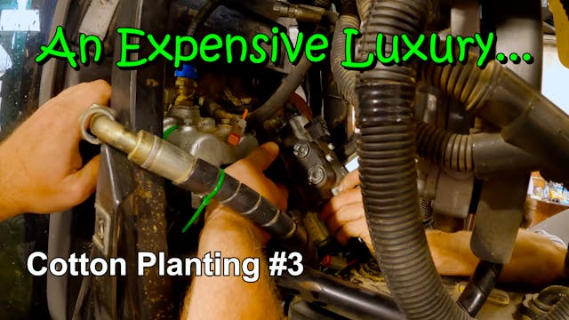 An Expensive Luxury...Cotton Planting...