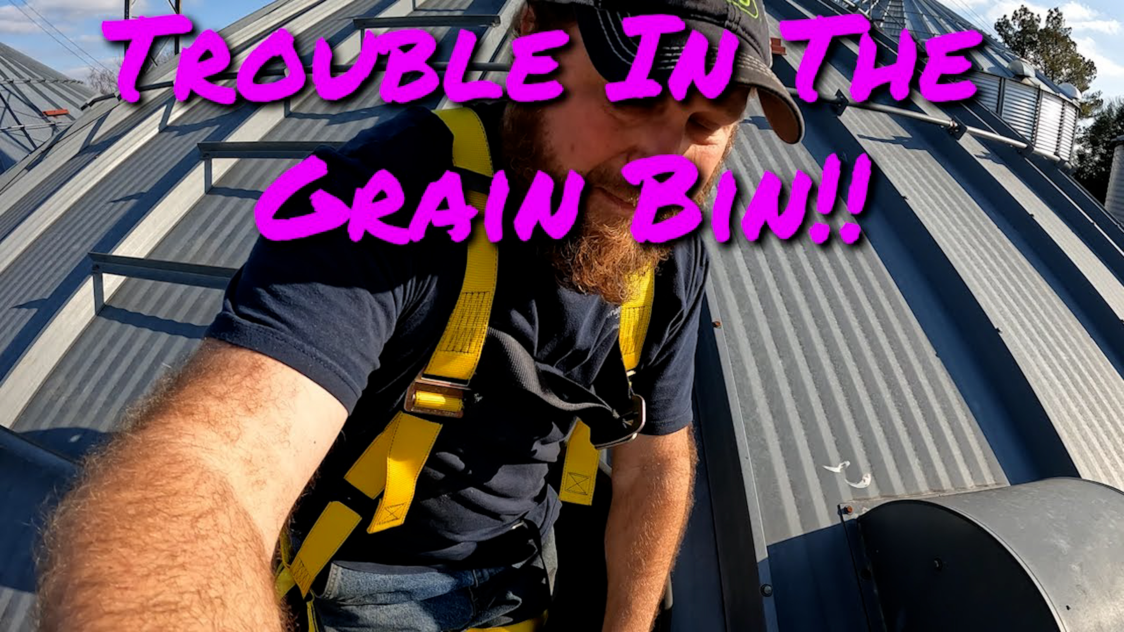 Big Problems In The Grain Bin | Griggs Farms