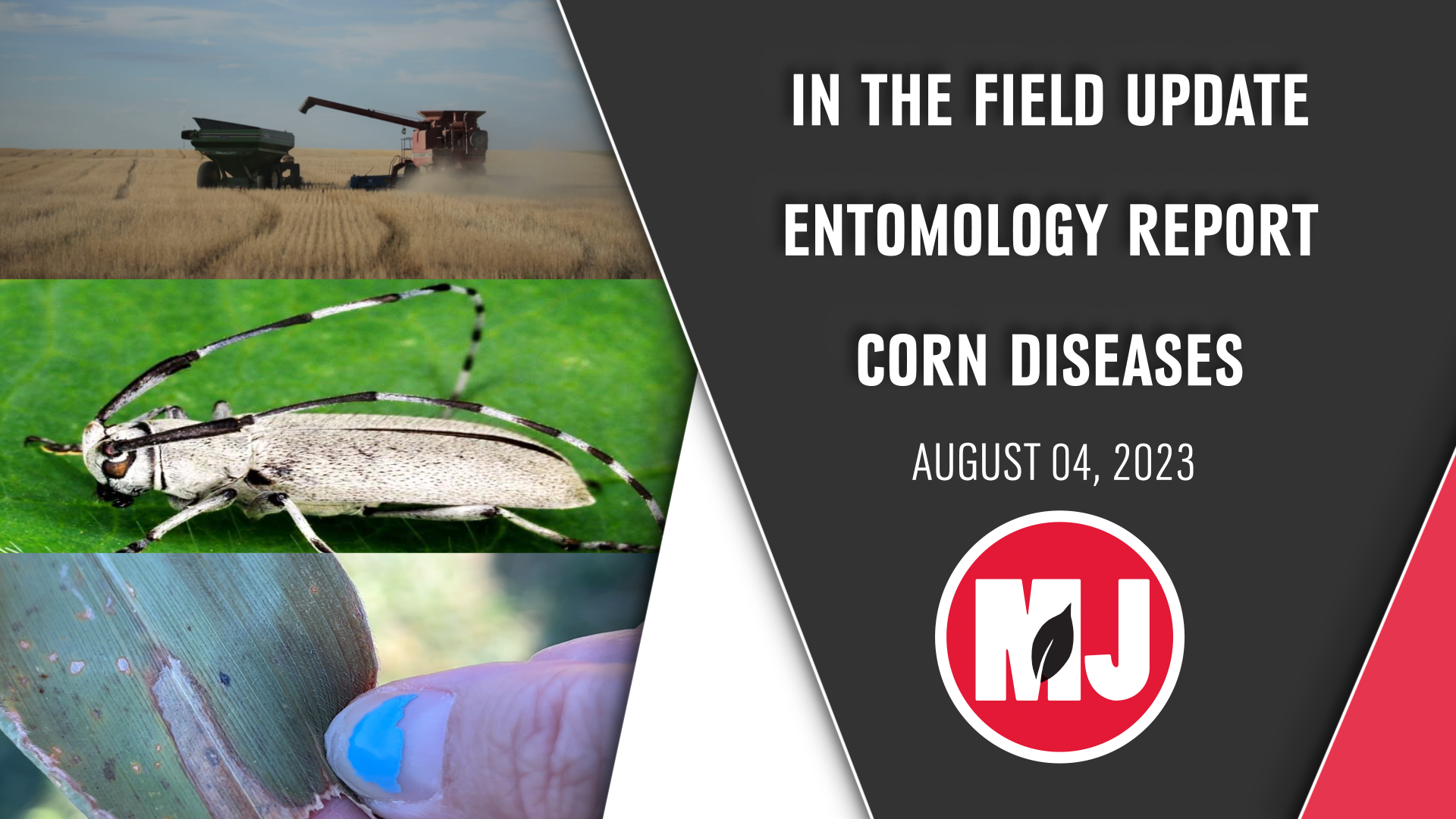 August 04, 2023 | Market Journal 