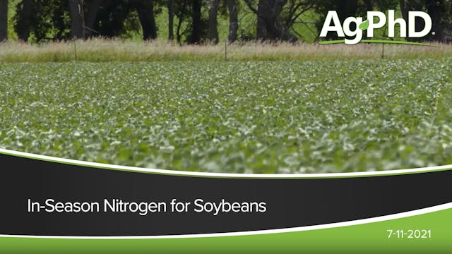 In-Season Nitrogen for Soybeans | Ag PhD