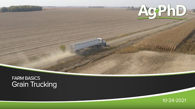 Grain Trucking | Ag PhD