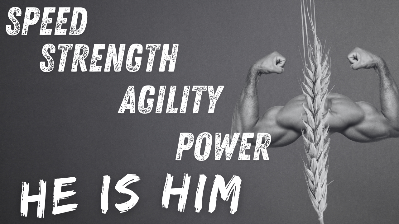 Improving Wheat Every Year | WAG in Focus 05-01-25