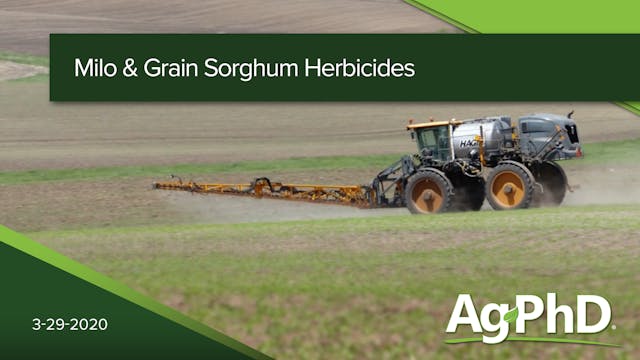 Milo & Grain Sorghum Herbicides