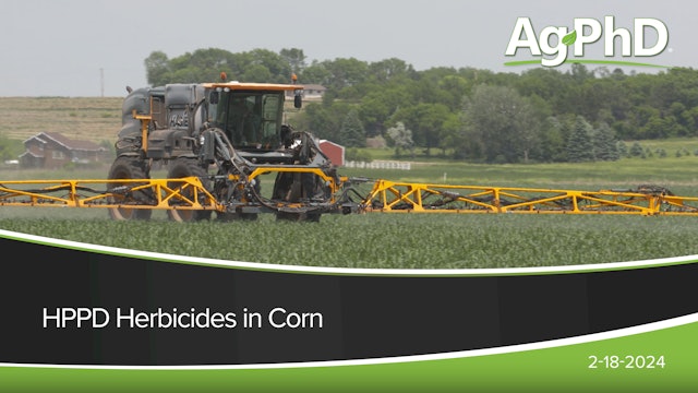 HPPD Herbicides in Corn | Ag PhD