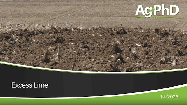 Excess Lime | Ag PhD