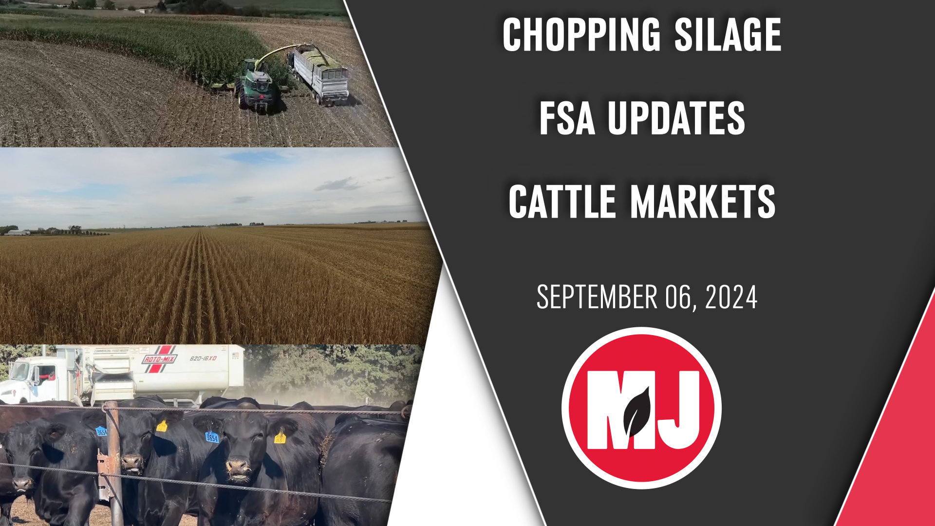 September 06, 2024 | Market Journal