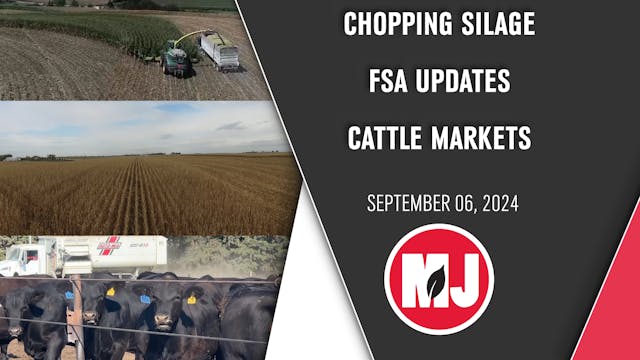 September 06, 2024 | Market Journal