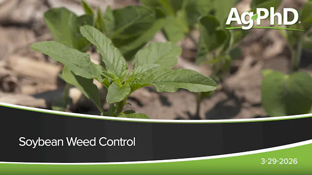Soybean Weed Control | Ag PhD