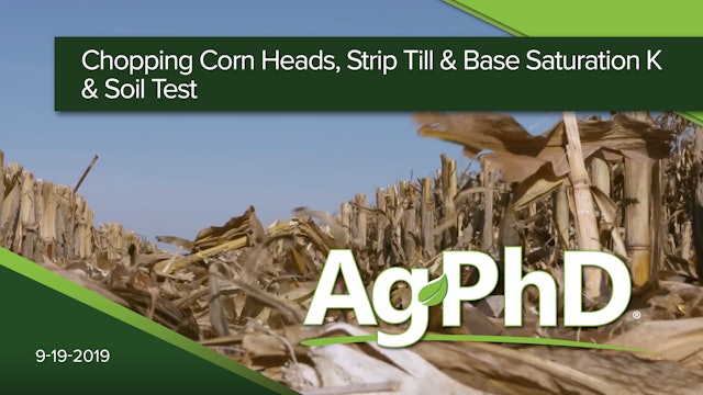 Chopping Corn Heads, Strip Till, Base Saturation K, Soil Test