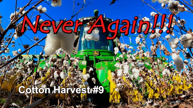 Never Will I Ever... | Cotton Harvest...