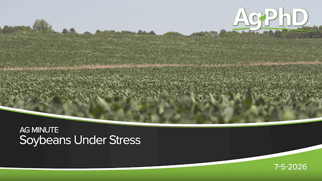 Soybeans Under Stress | Ag PhD