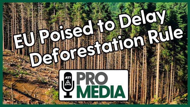 EU Poised to Delay Deforestation Rule...